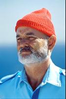 steve zissou by bill murray